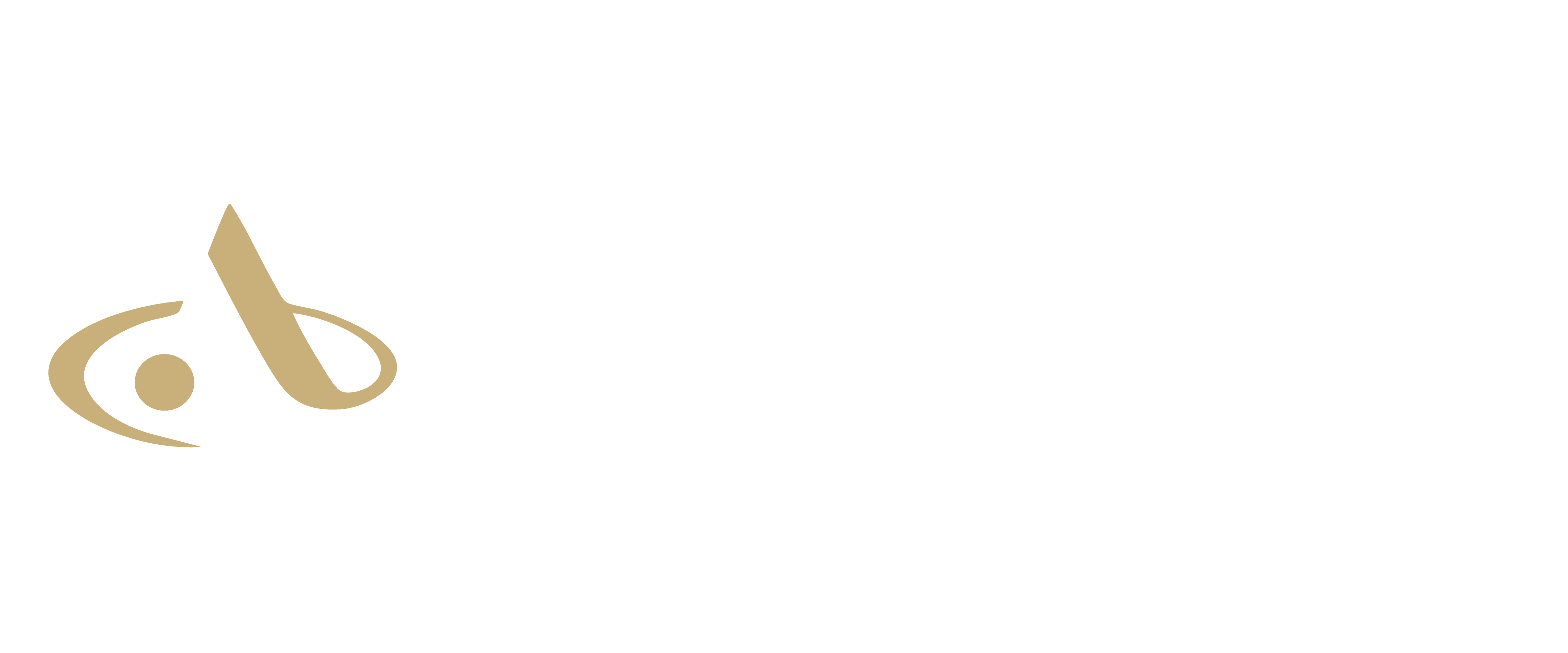 Logo Blanc